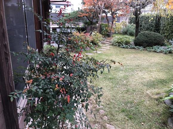 新しい朝時間と赤い庭