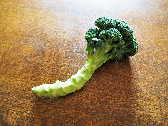 broccoli0001.JPG