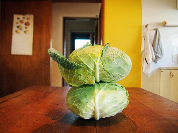 Two Cabbages